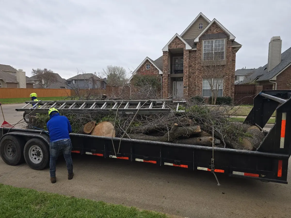 Expert Tree Fertilization with proper safety equipment in Rosebud